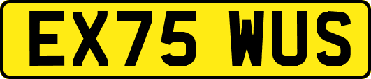 EX75WUS