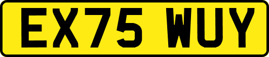 EX75WUY