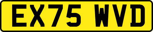 EX75WVD