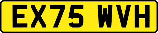 EX75WVH