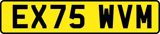 EX75WVM