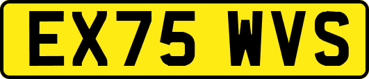 EX75WVS