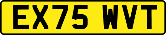 EX75WVT