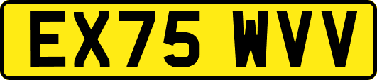 EX75WVV