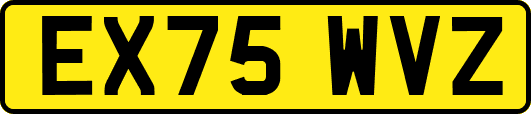 EX75WVZ
