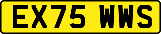 EX75WWS