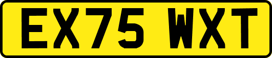 EX75WXT