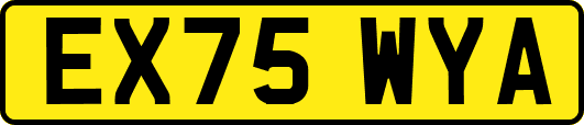 EX75WYA