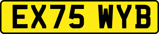 EX75WYB