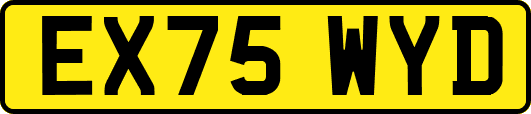 EX75WYD