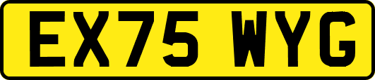 EX75WYG
