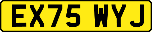 EX75WYJ