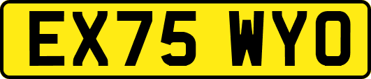 EX75WYO