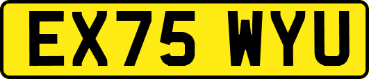 EX75WYU