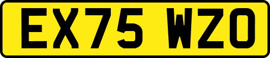 EX75WZO