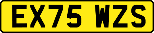 EX75WZS
