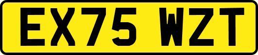 EX75WZT