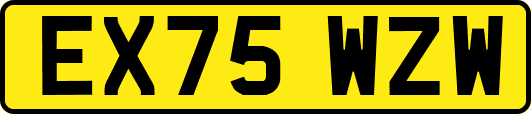 EX75WZW