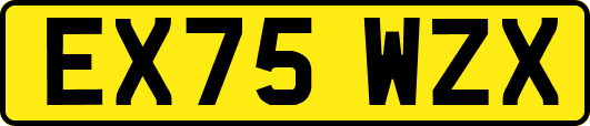 EX75WZX