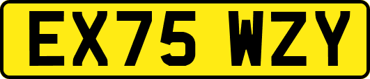 EX75WZY