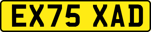 EX75XAD