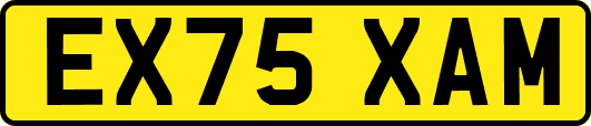 EX75XAM