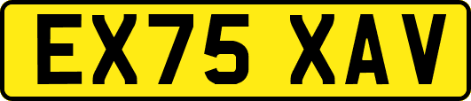 EX75XAV