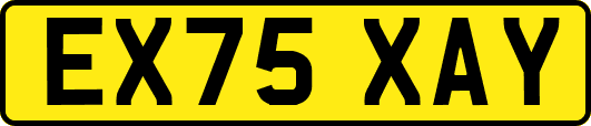EX75XAY