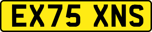 EX75XNS