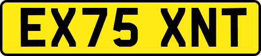 EX75XNT
