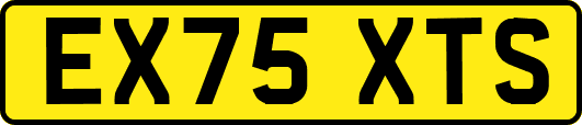 EX75XTS