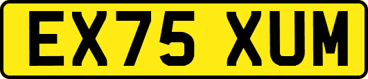 EX75XUM