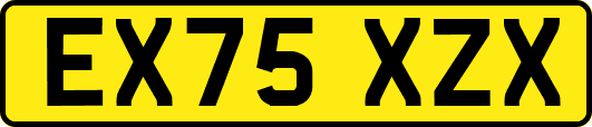 EX75XZX