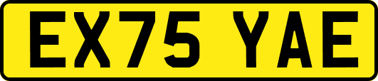 EX75YAE