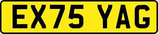 EX75YAG