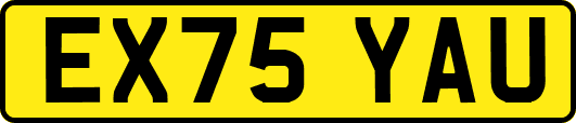 EX75YAU
