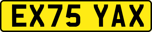 EX75YAX