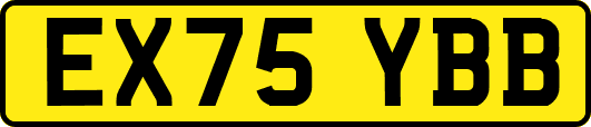 EX75YBB