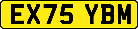 EX75YBM