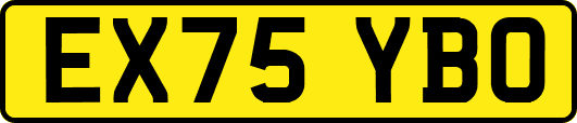EX75YBO