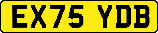 EX75YDB