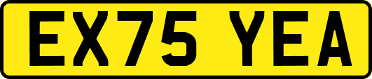 EX75YEA