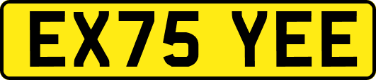 EX75YEE