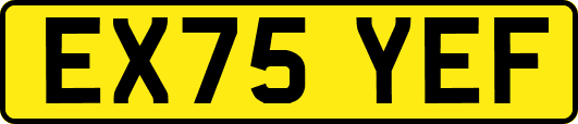 EX75YEF
