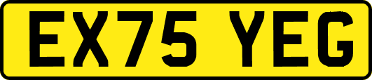 EX75YEG