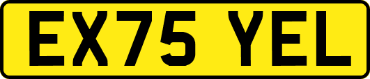 EX75YEL