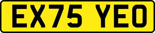 EX75YEO