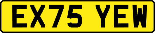 EX75YEW