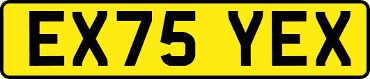 EX75YEX