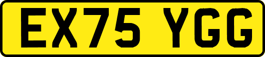 EX75YGG